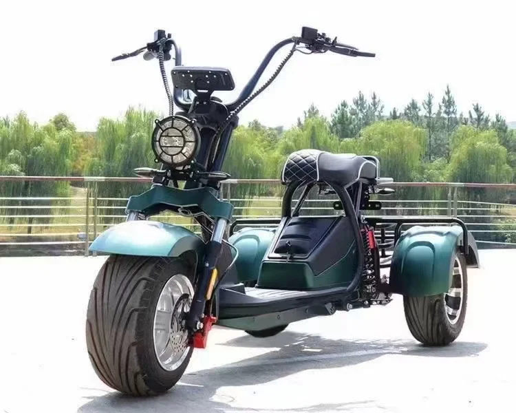 Scooter Tire - Modern Style Fat Tire 60v Golf