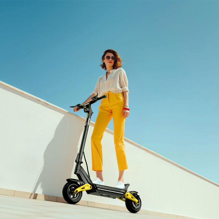 EU Stock C-Type Damping Dual S - Folding Electric Scooter review and price