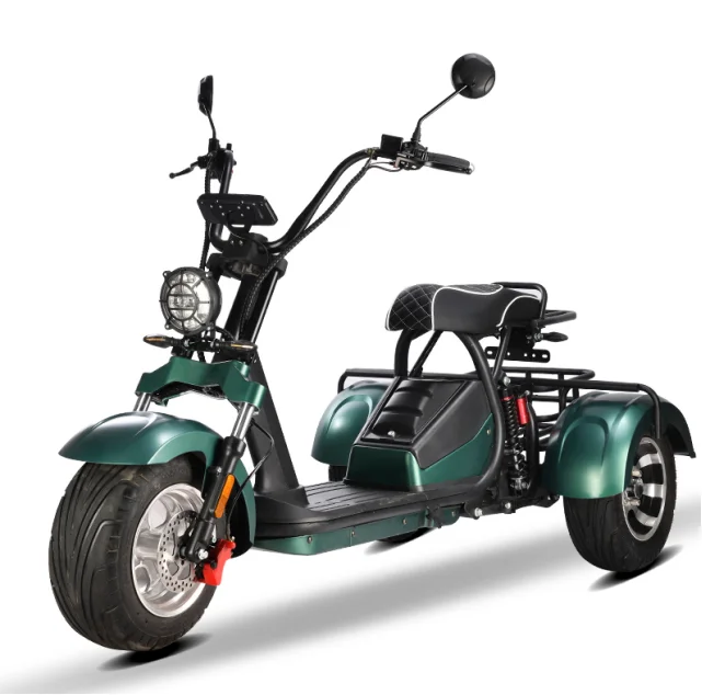 Modern Style Fat Tire 60v Golf - Scooter Tire review and price