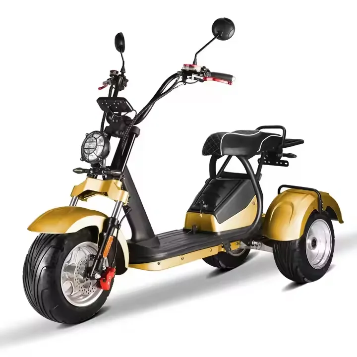 Modern Style Fat Tire 60v Golf - Scooter Tire review and price
