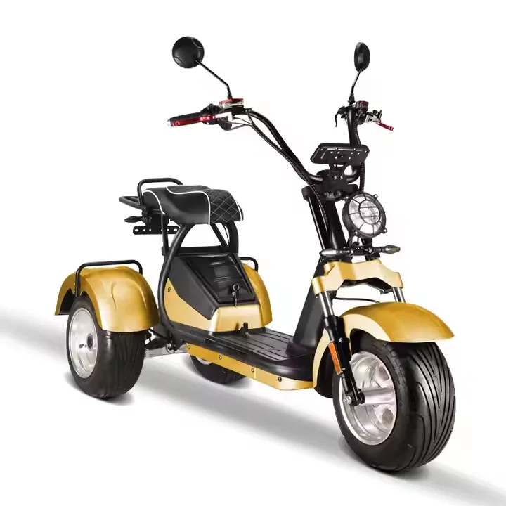 Modern Style Fat Tire 60v Golf - Scooter Tire review and price